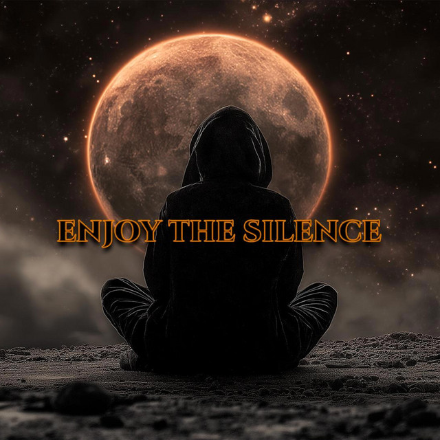 Обкладинка: Enjoy The Silence — Serg Halen