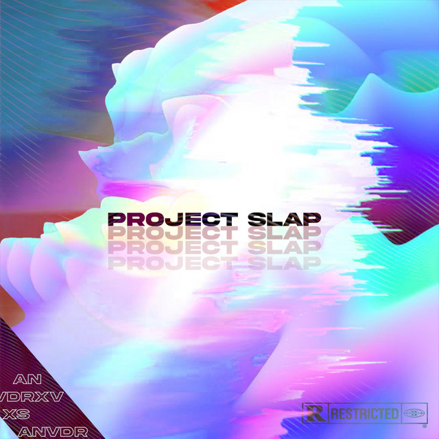 PROJECT SLAP - Single by ANVDRXVXS | Spotify