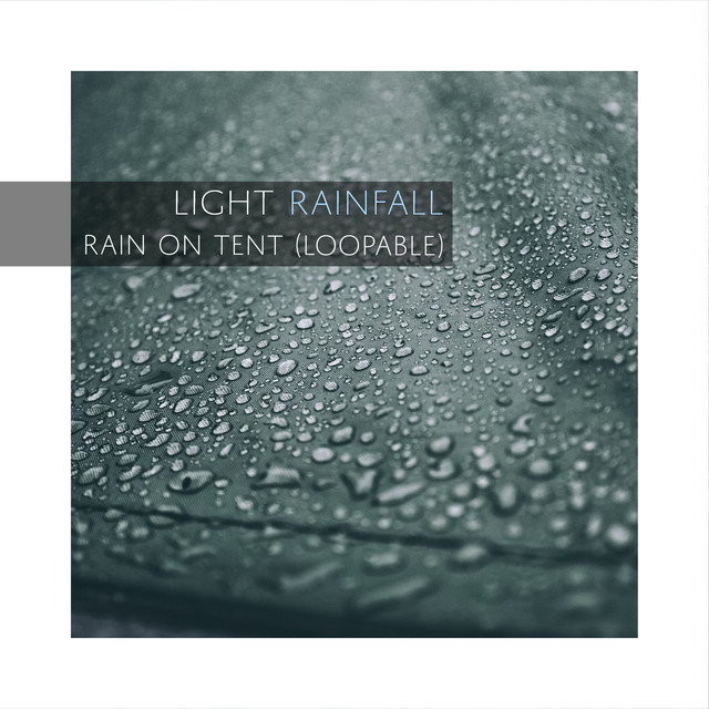 Light Rainfall cover art