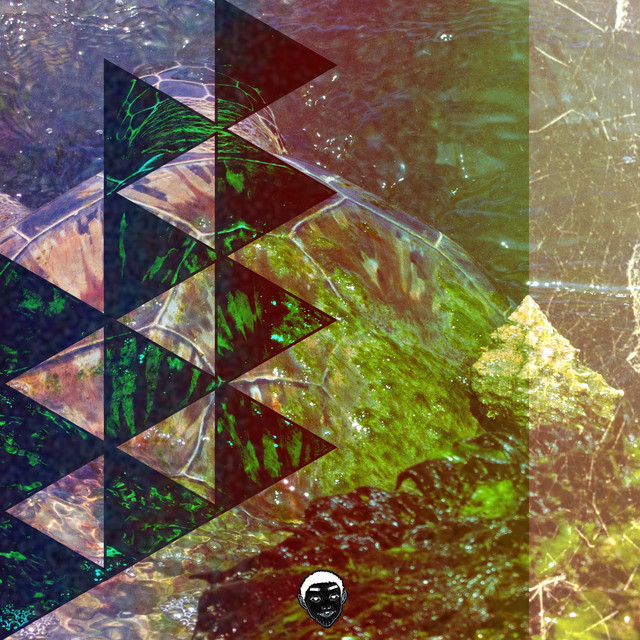 turtleback. cover art