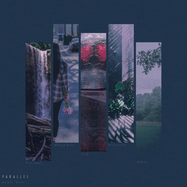 Parallel cover art