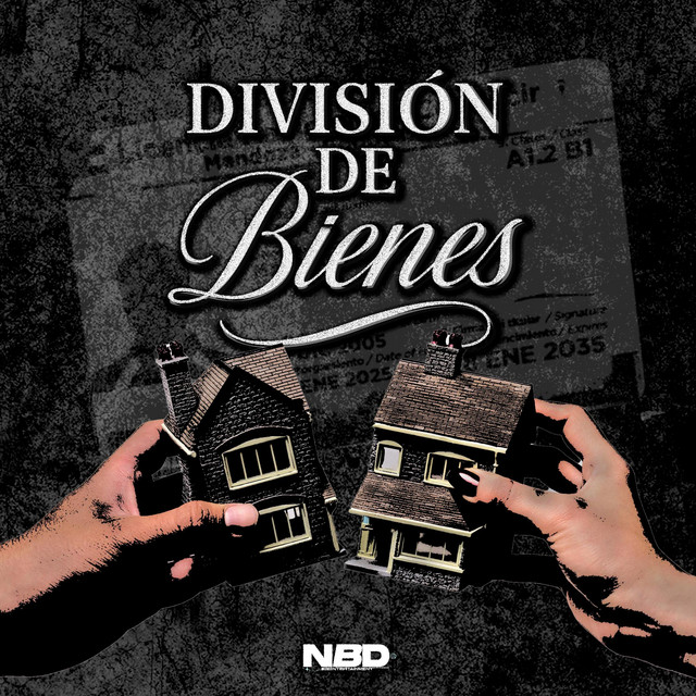 División De Bienes cover art