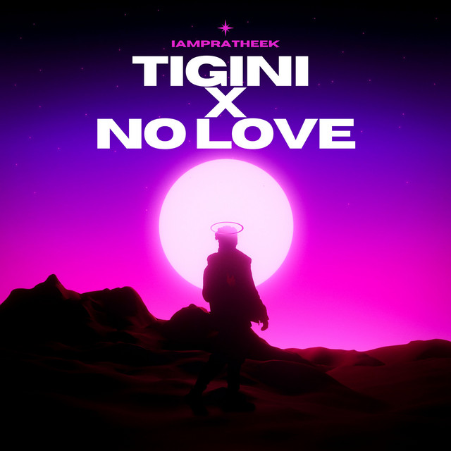 Tigini x No Love - Slowed and Reverb