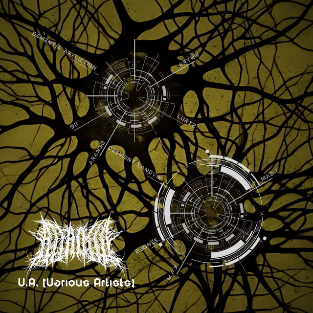 Unknown VA II cover art