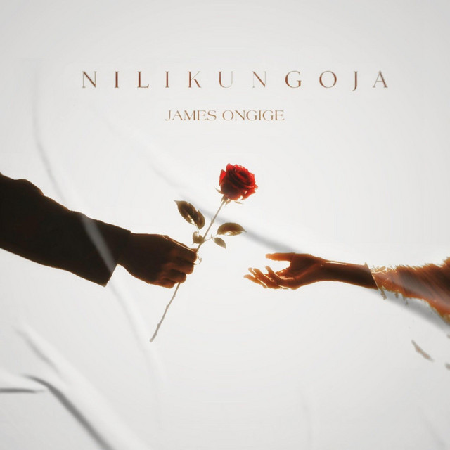 Nilikungoja album image