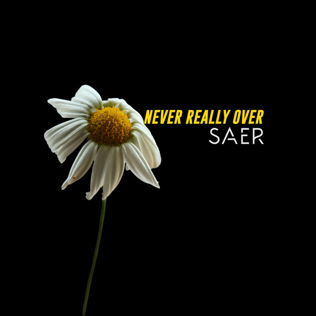 Never Really Over cover art