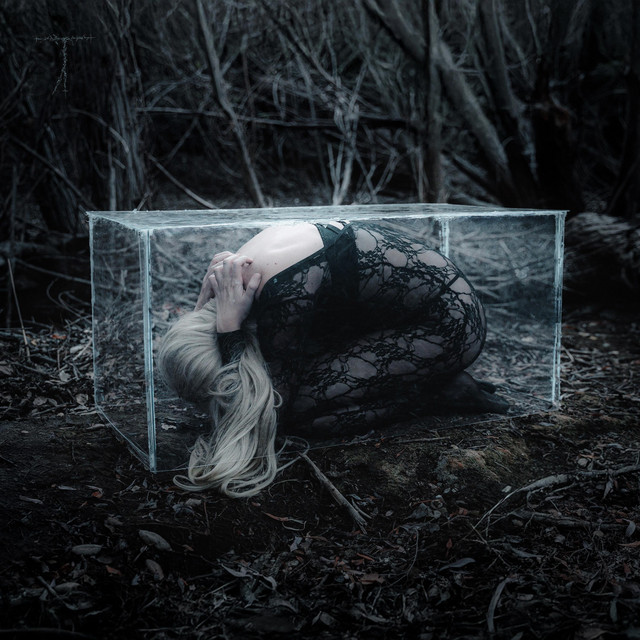 Hide n Seek album image