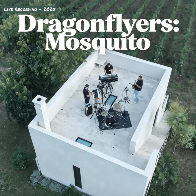 Mosquito (Live)