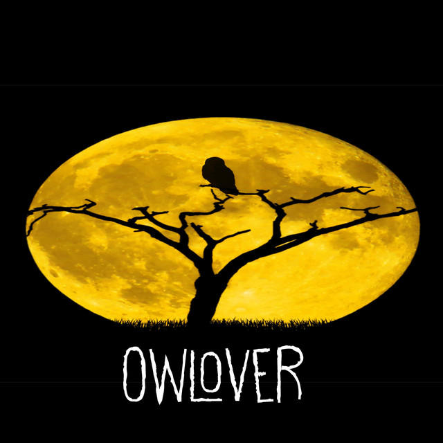 OWLOVER cover art