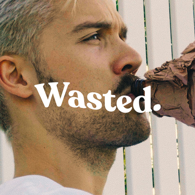 Wasted cover art