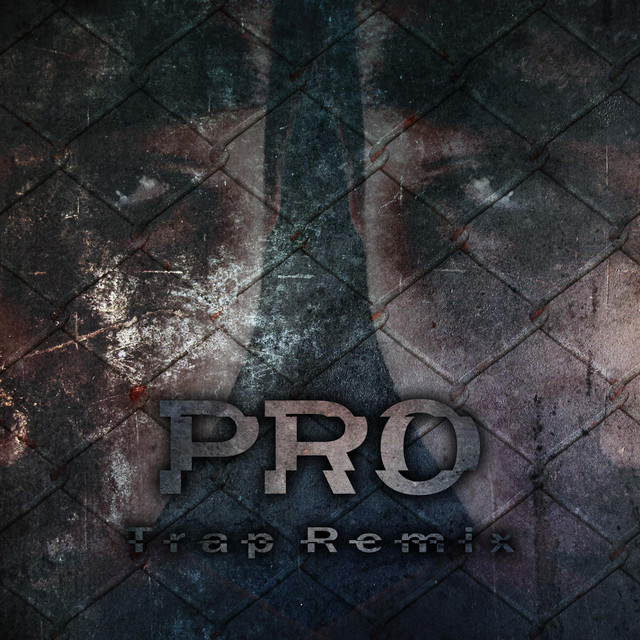 Pro (T-Rap Remix) - Single by Prozac Cyber | Spotify