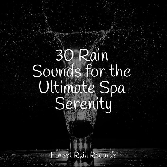 30 Rain Sounds for the Ultimate Spa Serenity - Album by Baby Lullabies ...