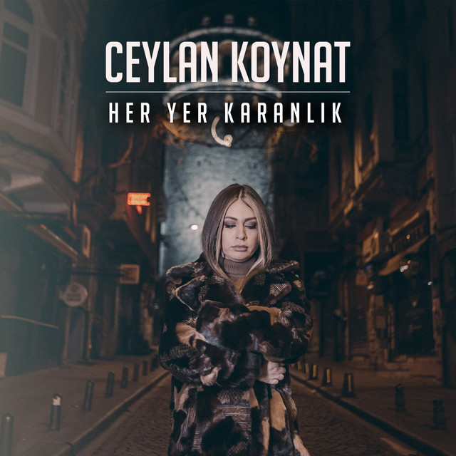 Her Yer Karanlık