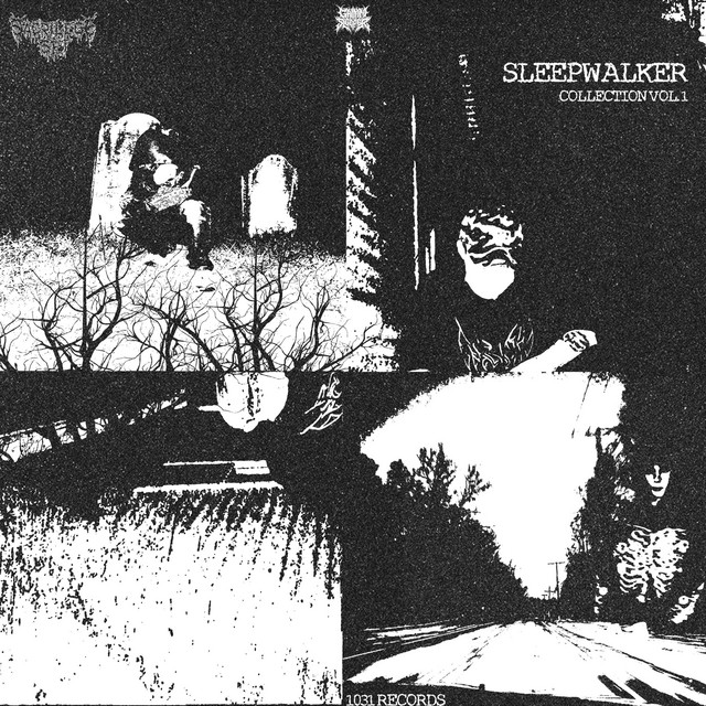 SLEEPWALKER COLLECTION VOL. 1 cover art