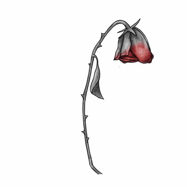 deadroses cover art
