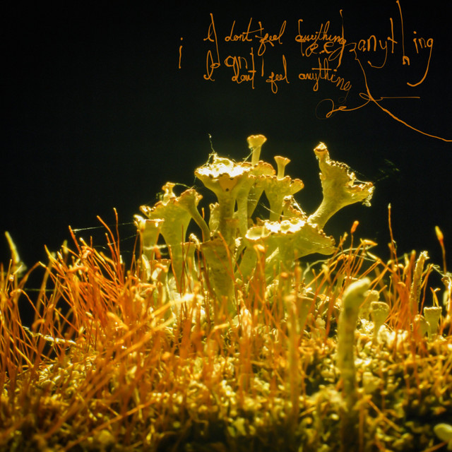 i don't feel anything cover art