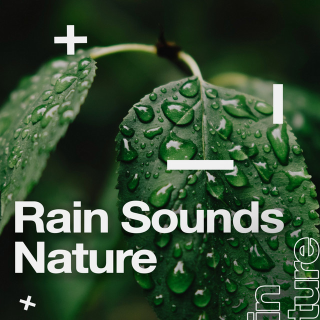 Rain Sounds Nature cover art