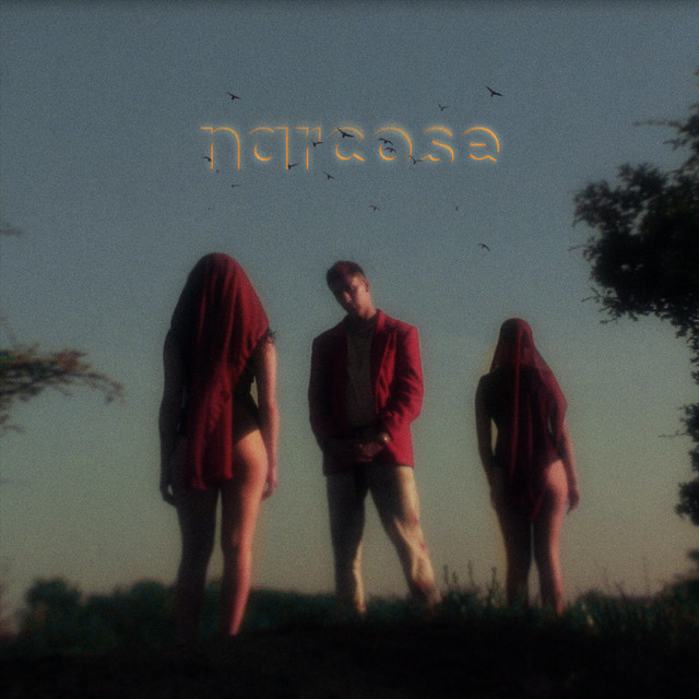 Narcose cover art