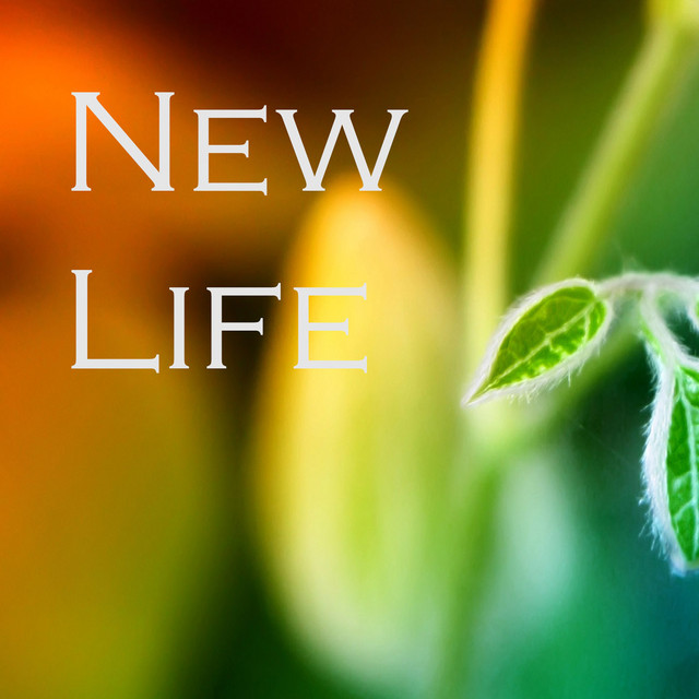 New Life cover art