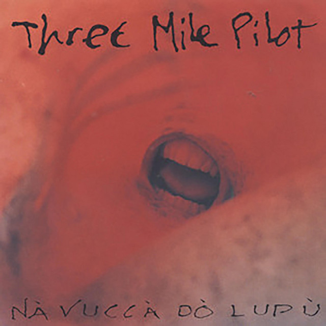 Nà Vuccà Dò Lupù cover art