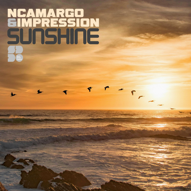 Sunshine cover art