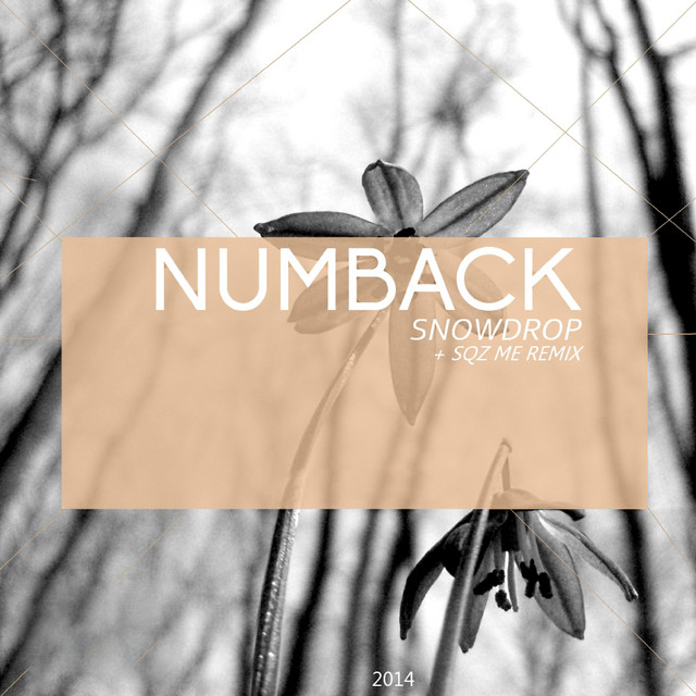 Snowdrop
