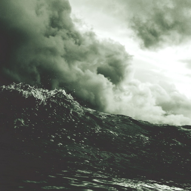 Tsunami album image