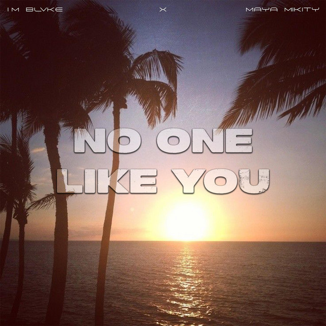 No One Like You