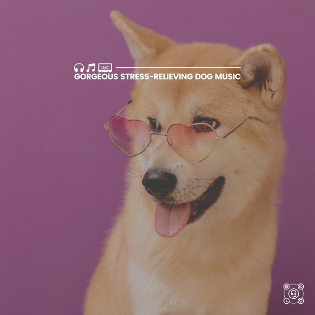 Gorgeous Stress-Relieving Dog Music cover art