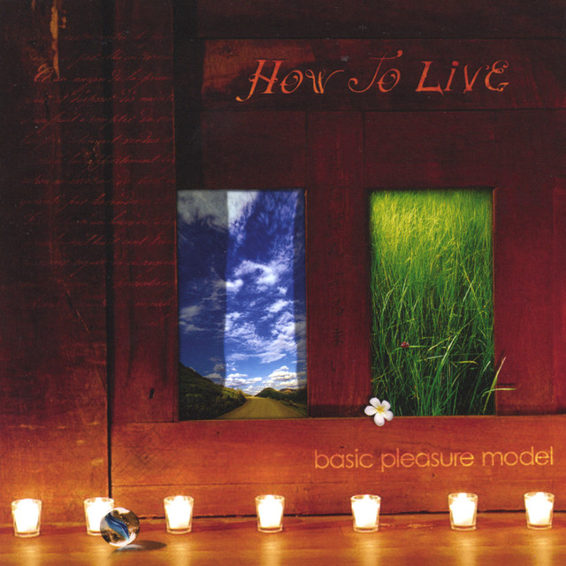 How to Live cover