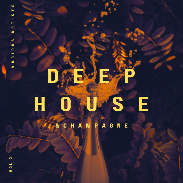 Deep-House and Champagne, Vol. 2 cover art