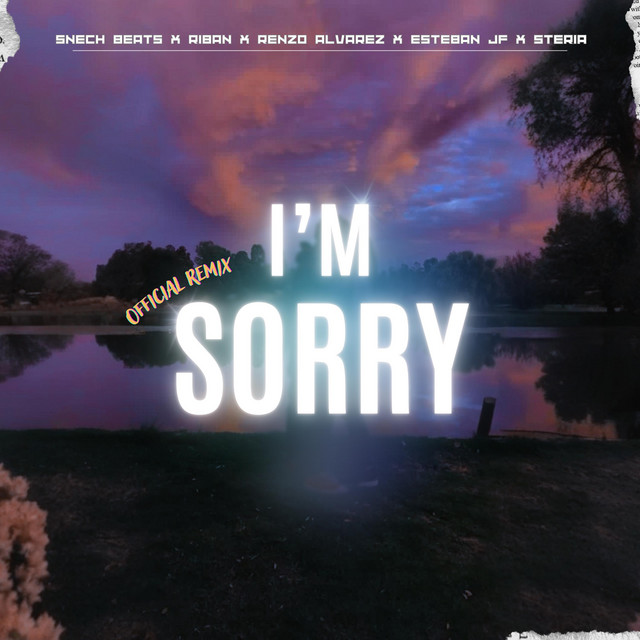 IM SORRY - REMIX