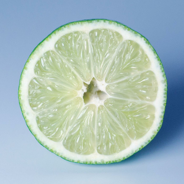 Florida cover art