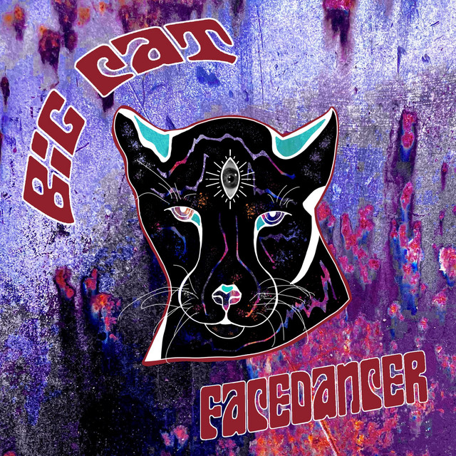 Big Cat cover art