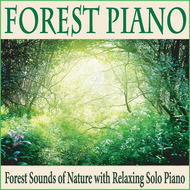 Forest Piano: Forest Sounds of Nature With Relaxing Solo Piano