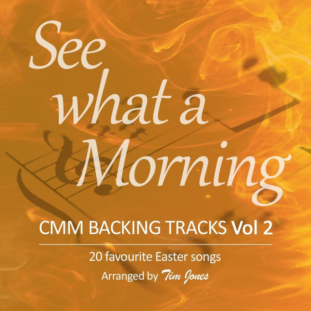 See What a Morning cover art