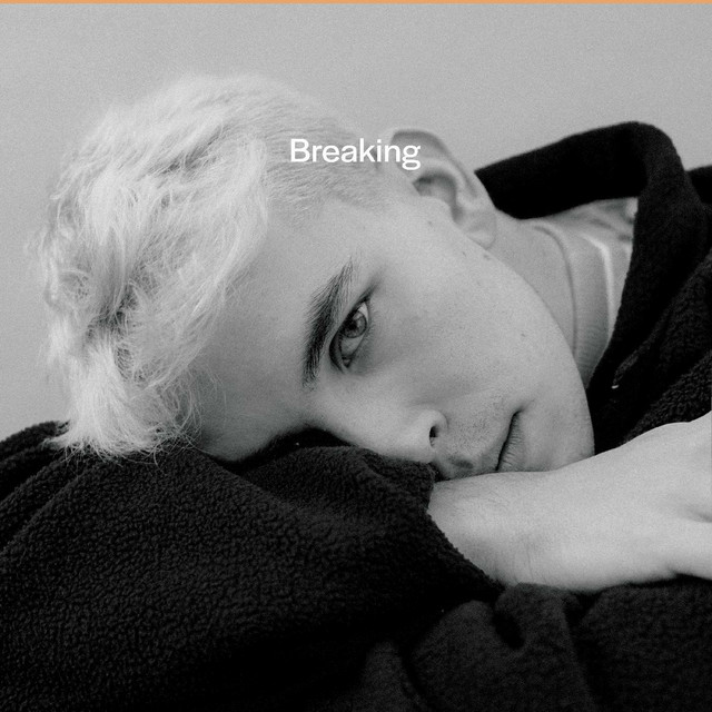 Breaking cover art
