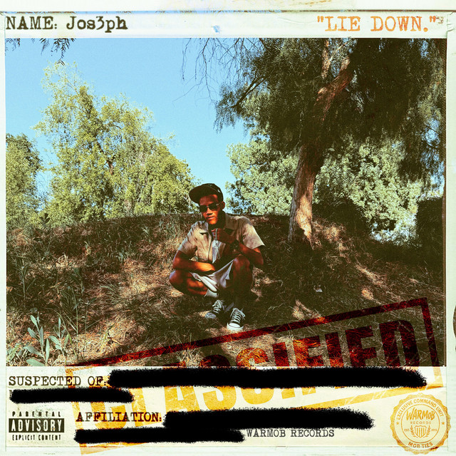 Lie Down. cover art