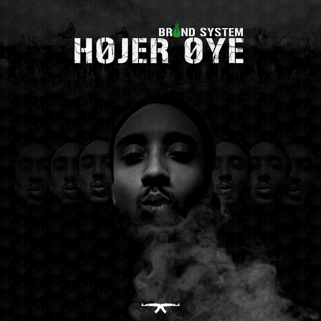 Brænd System cover art