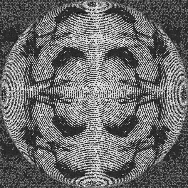 Leech cover art