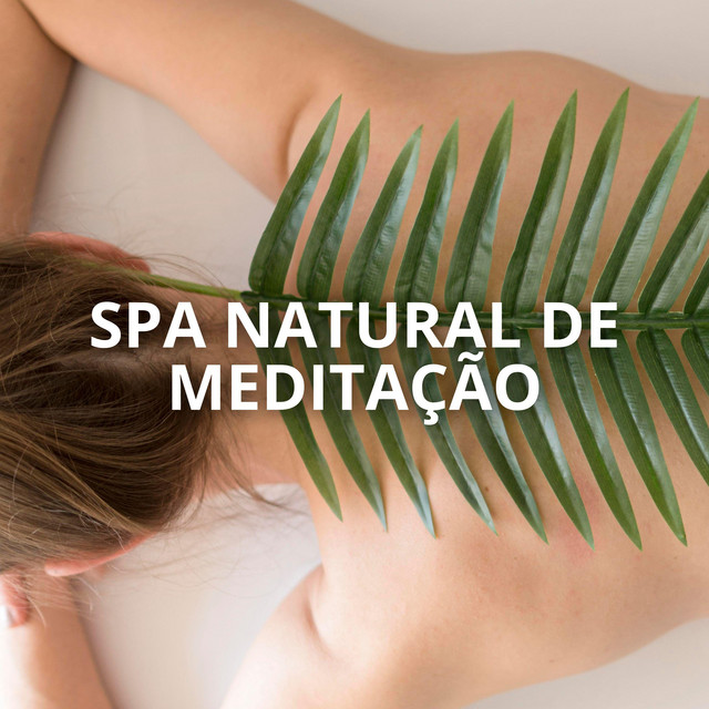 Spa Natural de Meditação: Refúgio de Tranquilidade e Bem-Estar em Harmonia com a Natureza