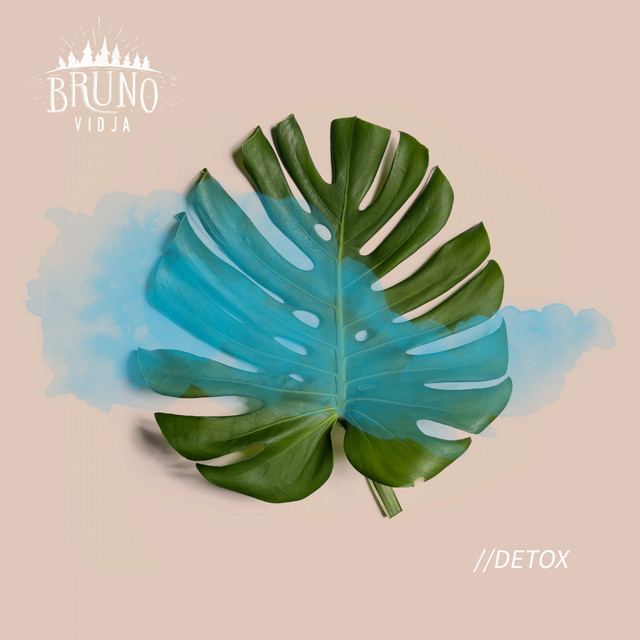 DETOX cover art