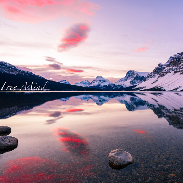 Free Mind cover art