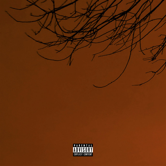 505 cover art