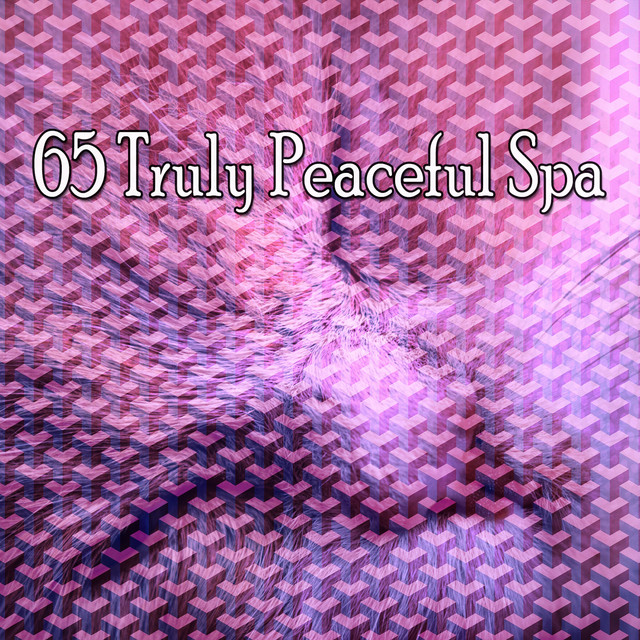 65 Truly Peaceful Spa - Album by Monarch Baby Lullaby Institute | Spotify