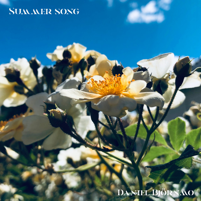 Summer song