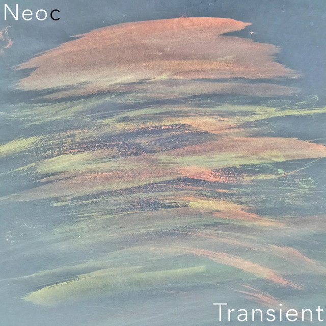 Transient cover art