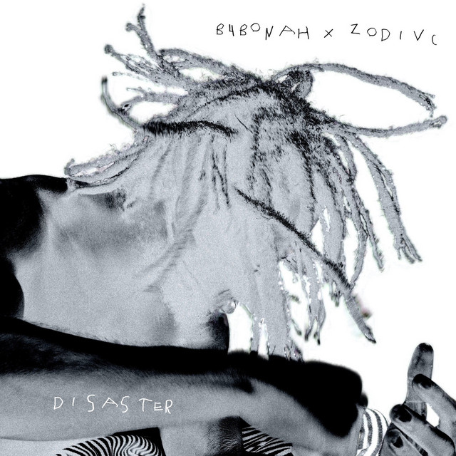Disaster cover art