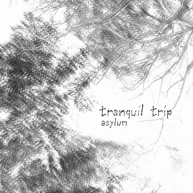 Asylum cover art