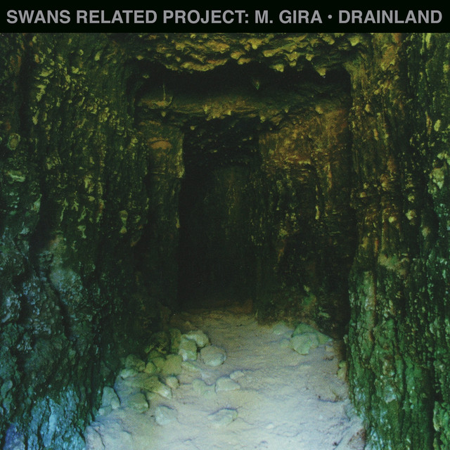 Drainland cover art